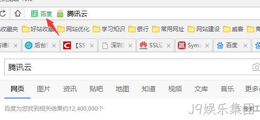 HTTPS 公司名显示2