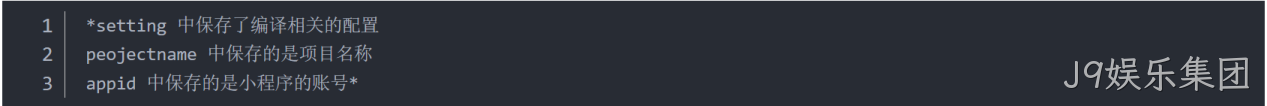  JSON 配置文件