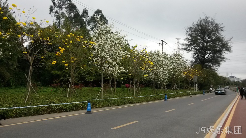 J9娱乐集团仙湖行